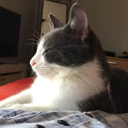 아파트 Balcone Fiorito