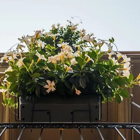Balcone Fiorito