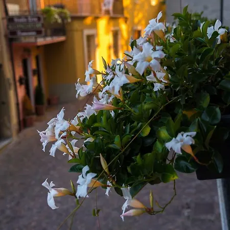 Balcone Fiorito
